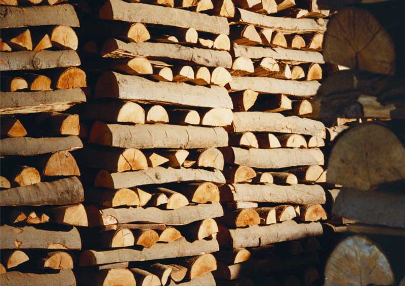 lagering of beech wood logs at Schlenkerla