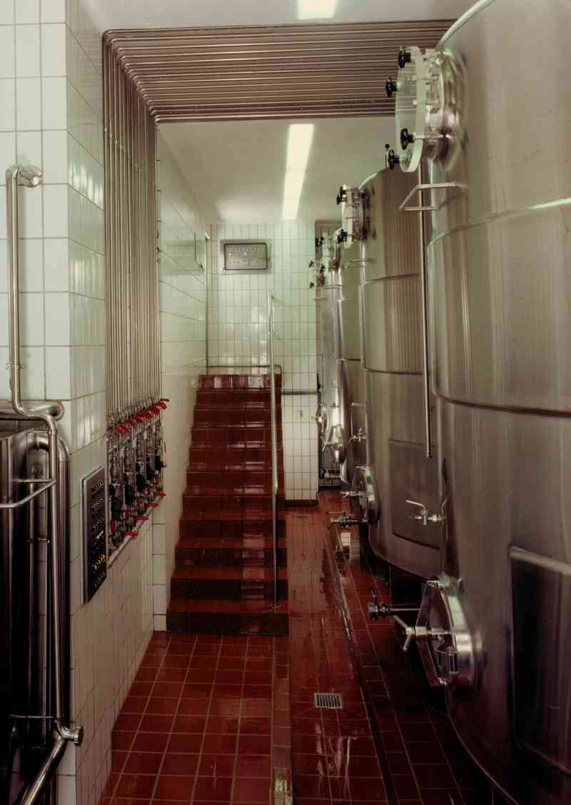 main fermentation